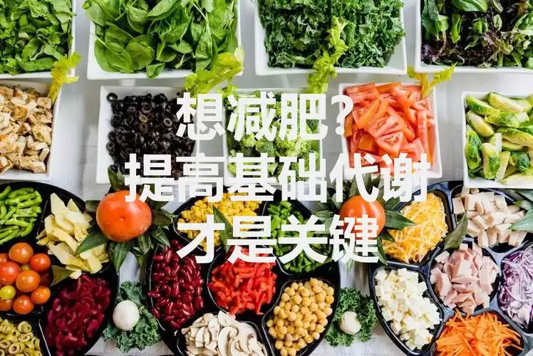 如何通过健康的饮食和运动提高新陈代谢，实现减肥目标(1)