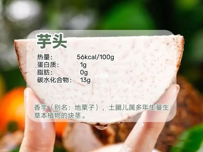 芋头怎么吃减肥：探索芋头的减肥功效及食用方法(1)