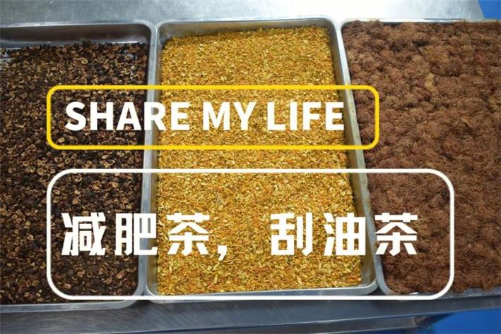 探讨刮油减肥的真相：哪些食物真正有助于减肥？(1)