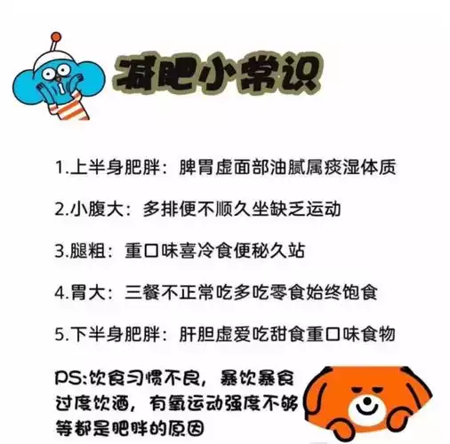 有效减肥的秘诀：科学饮食与适度运动(2)