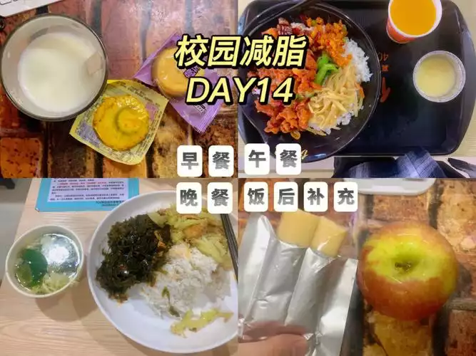 如何在学校减肥：从健康饮食到适量运动(1)