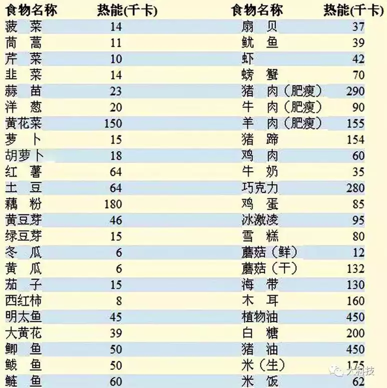 如何制定科学合理的减肥菜单热量表？(1)