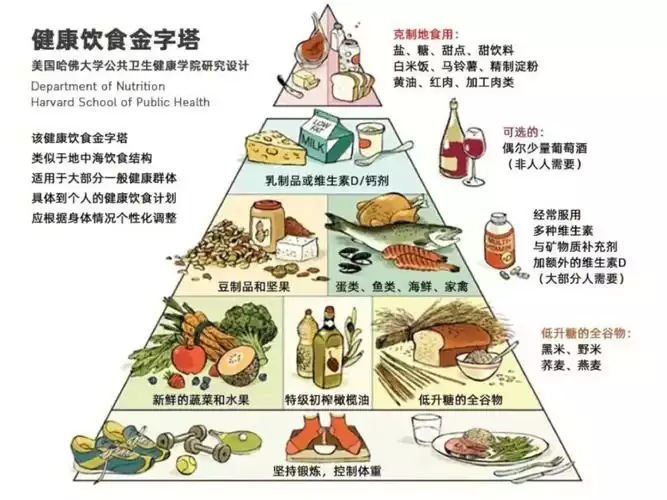 科学减肥：最快的减肥食物列表(1)