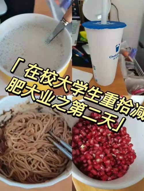 学生减肥计划：从健康饮食到科**动(1)