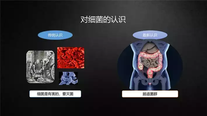 肠菌移植：一种新型减肥方法(2)