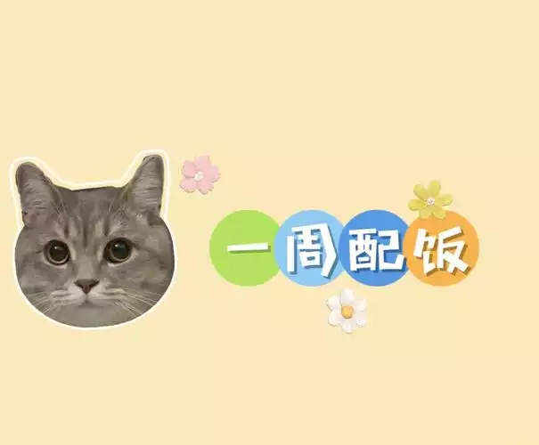 猫咪减肥食谱配方：让你的猫咪健康瘦身(1)