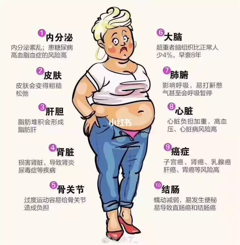 超重肌肉型如何减肥：掌握正确的饮食和锻炼方法(1)