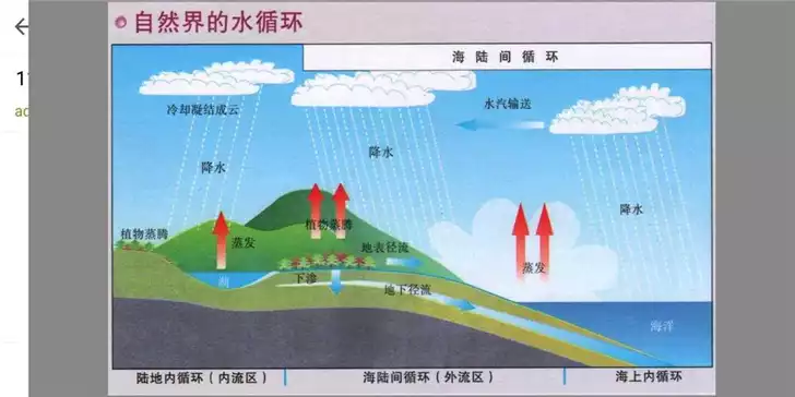 碳水循环减肥法(1)