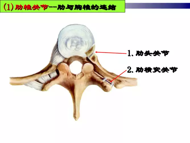 如何在家里有效减肥：7个简单方法(1)