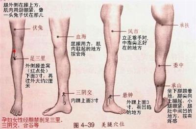 怎样瘦腿最快最有效，穴位刮痧助你打造纤细修长美腿 瘦腿 第2张