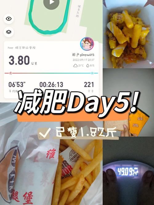 一天500大卡能减肥吗？——探讨极低卡路里减肥法的可行性和风险(1)