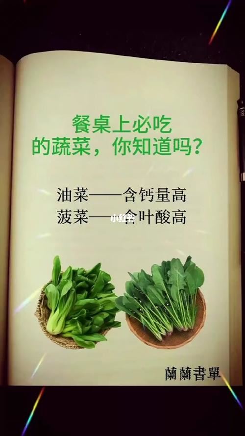 减肥养生汤食谱大全及做法：让你轻松瘦身，健康养生！(2)