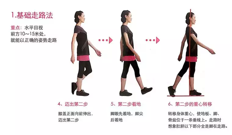 天天走路减肥，科学有效的健康减肥方法(1)