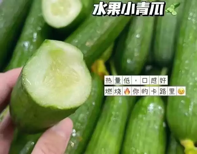 类似黄瓜的减肥食物(2)