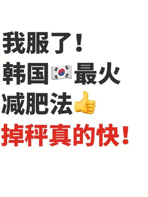 韩国四周减肥法：从饮食、运动到心态全方位改善(2)