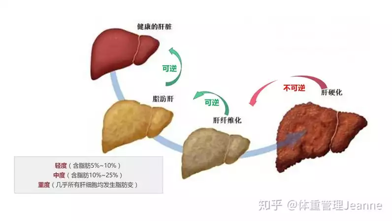 脂肪肝减肥食谱一周瘦10斤(2)