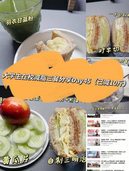 大学生减肥餐创业总结：健康饮食不仅是减肥，更是生活方式(2)