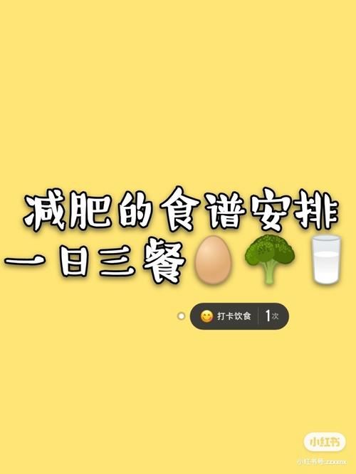 正常减肥方法生活该怎样安排(1)