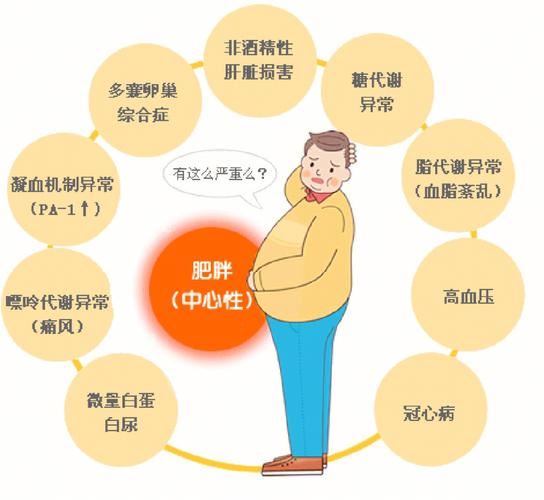 湿热体质减肥方法：告别肥胖，拥抱健康(1)