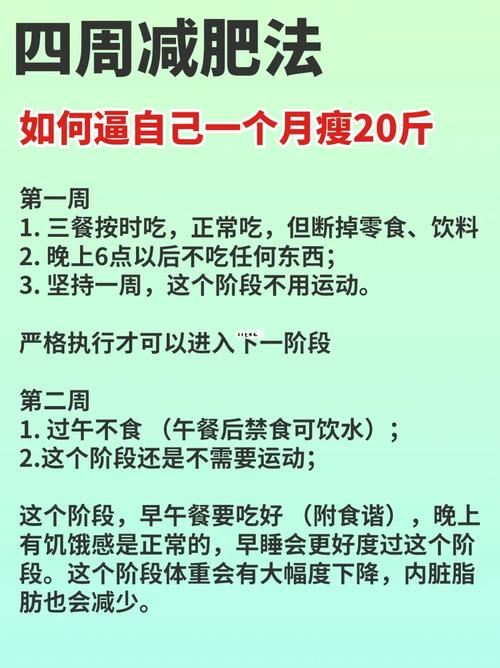 科学减肥：有效的减肥方法(2)