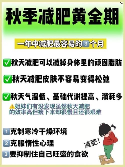 黄金减肥期可以减几斤(2)