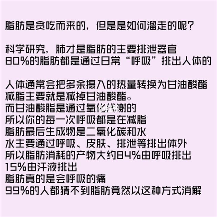 拉屎多会不会减肥？探究排便与减肥的关系(1)