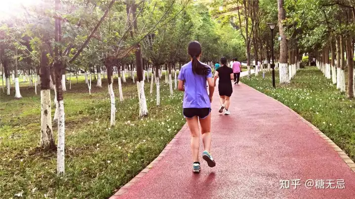 饭后跑步半小时：科学减肥的有效方法(2)