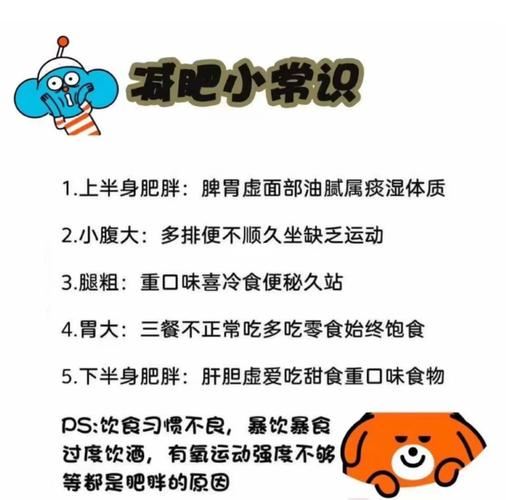 最安全有效的减肥方法：健康饮食与适度运动(1)