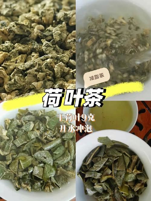 荷叶减肥：有效的方法还是伪科学？(2)