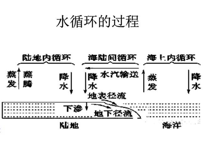 碳水循环饮食法：科学减肥的新选择(2)