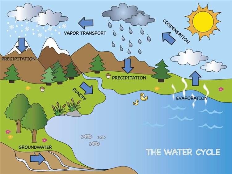 碳水循环饮食法：科学减肥的新选择(1)