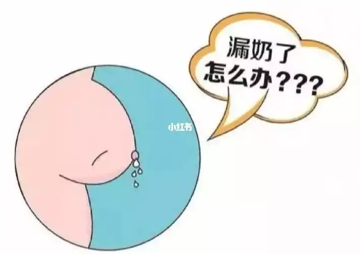 产后三个月哺乳期减肥攻略：合理饮食和适量运动(2)