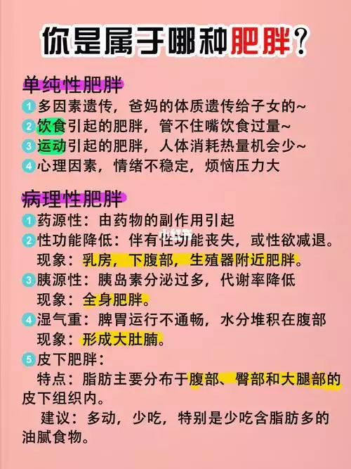 减肥的方法有哪些？——探究减肥的五种类型(2)