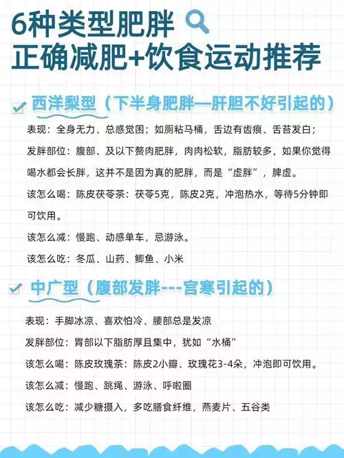 减肥方式大全：从科学角度出发，探究减肥的多种方法(2)