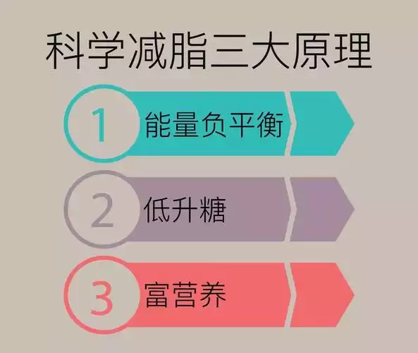 减肥方式大全：从科学角度出发，探究减肥的多种方法(1)