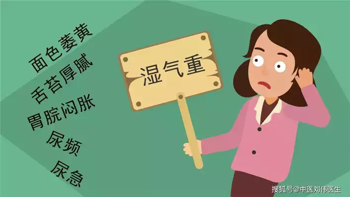 祛湿降脂减肥方案：告别潮湿肥胖的困扰(2)