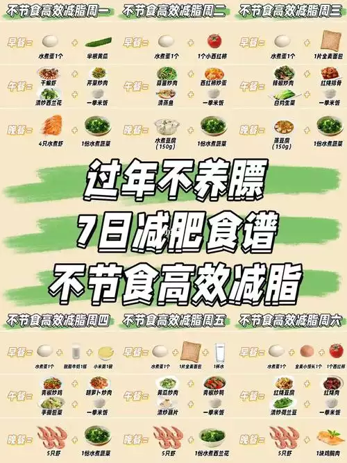 轻松减肥，享受健康生活：简单易做的轻节食减肥食谱(2)