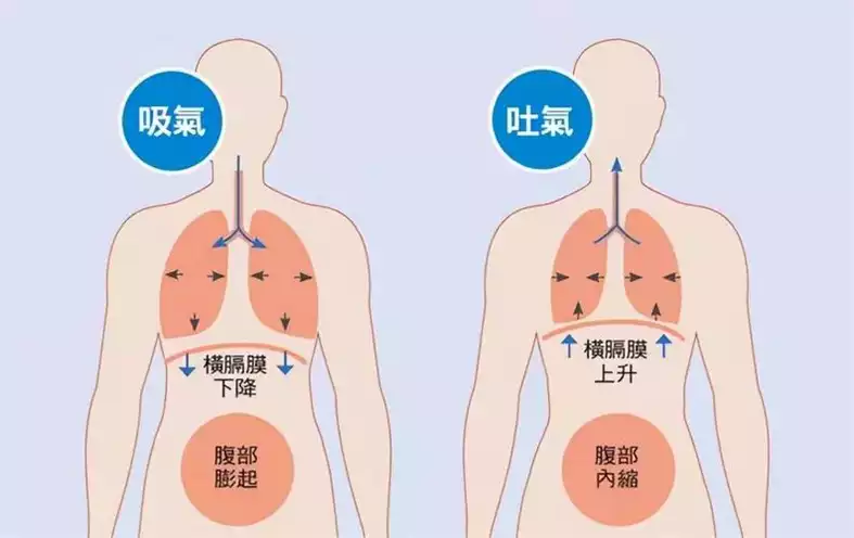 古法呼吸：一种有效的减肥方法(1)