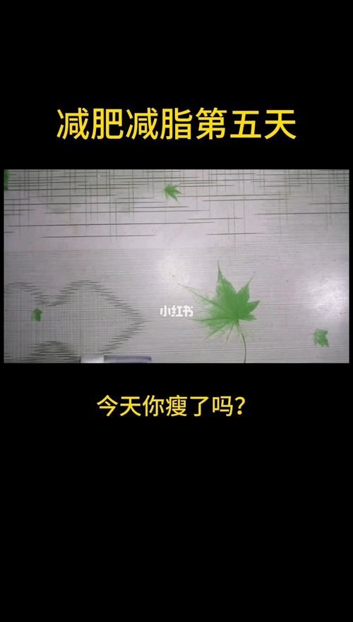 运动减肥app推荐：让你轻松瘦下来(2)