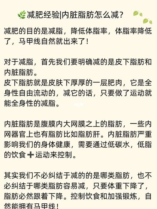 内脏脂肪减肥最有效的方法：饮食调整和运动结合(2)