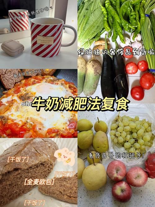 吃得饱，减得瘦：探究饮食控制减肥法(3)