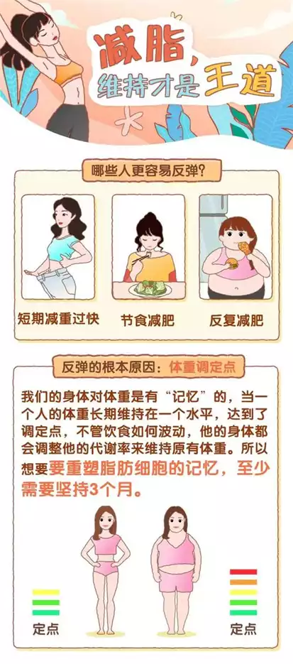 为什么刚开始减肥体重不下降？——探究减肥的误区(2)