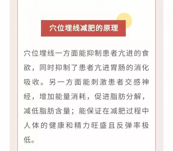 大腿上减肥经络图(1)