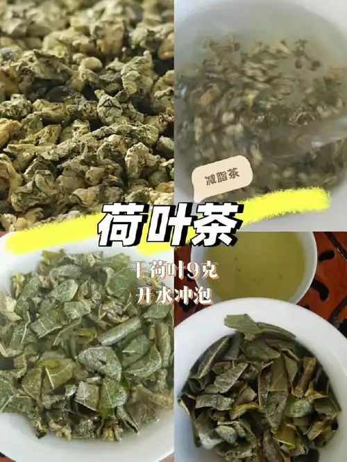 荷叶减肥：有效还是无效？(2)