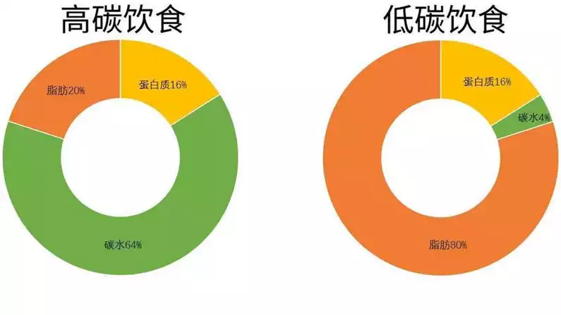 想减肥的人的人群分析：理解不同需求，制定个性化减肥计划(2)