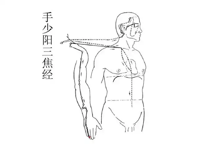 中医经络减肥：理论与实践(1)