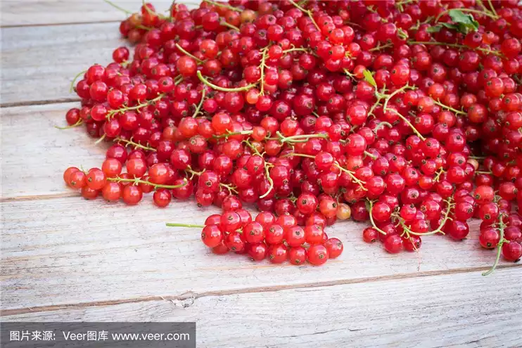 醋栗浆果茶：美味饮品中的减肥利器(2)