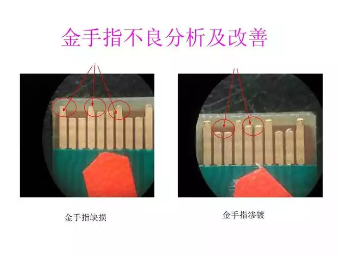 金手指减肥可以吃吗(1)