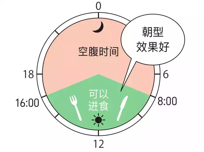 减肥断食追踪app(1)