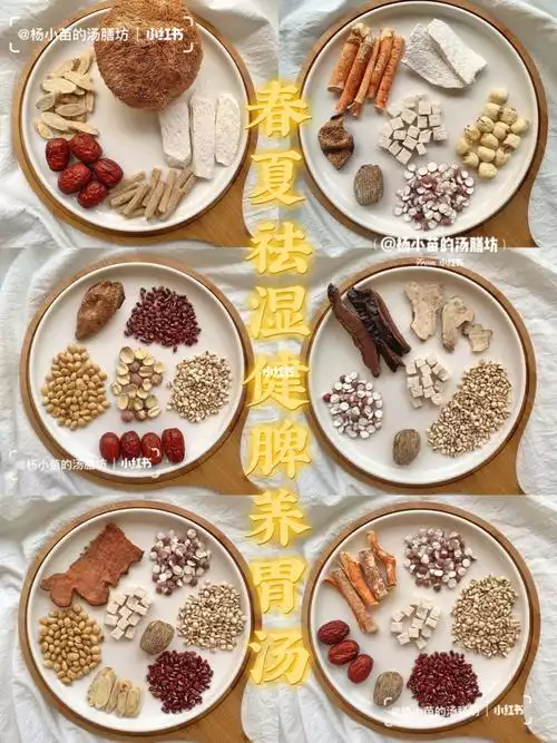 祛湿养胃减肥食谱(1)